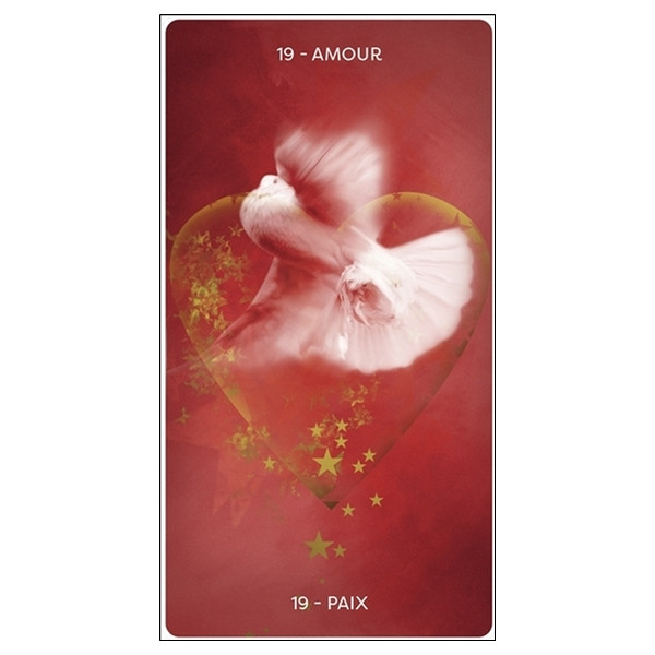 L'Oracle d'Hildegarde - Livre + jeu