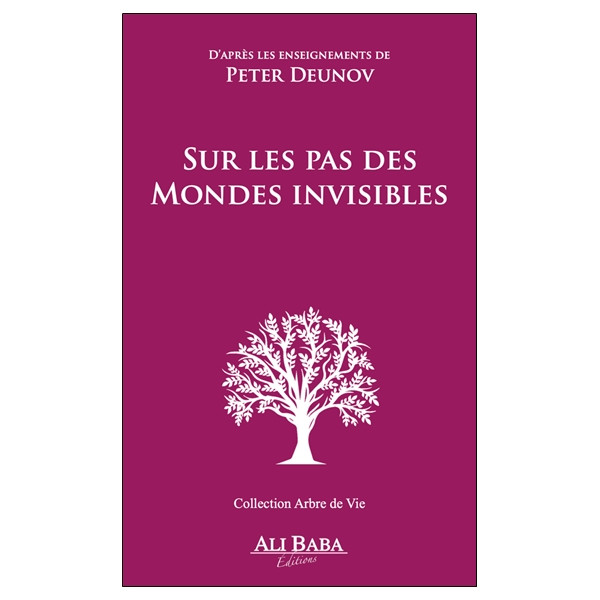 Sur les pas des mondes invisibles