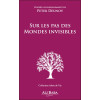 Sur les pas des mondes invisibles