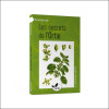 Les secrets de l'Ortie