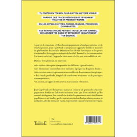 Nouveaux rituels de désenvoûtement - Petit manuel de transmutation des influences invisibles