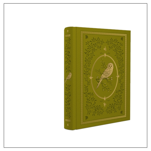 Grimoire vierge Athéna