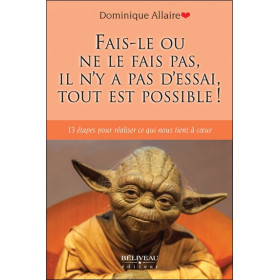 Fais-le ou ne le fais pas, il n'y a pas d'essai, tout est possible ! 13 étapes pour réaliser ce qui nous tient à coeur