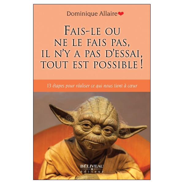 Fais-le ou ne le fais pas, il n'y a pas d'essai, tout est possible ! 13 étapes pour réaliser ce qui nous tient à coeur