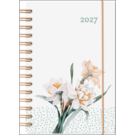 Agenda Baro-EUN 2027 narcisse