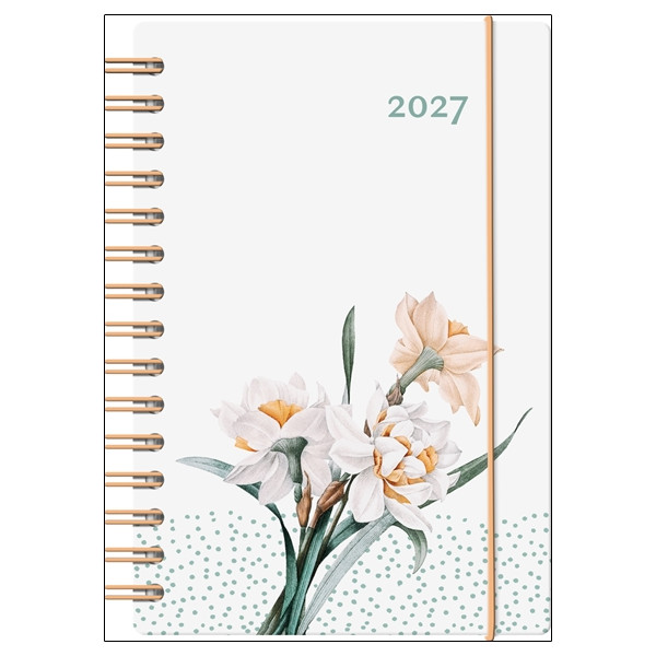 Agenda Baro-EUN 2027 narcisse