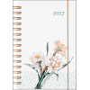 Agenda Baro-EUN 2027 narcisse