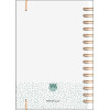 Agenda Baro-EUN 2027 narcisse