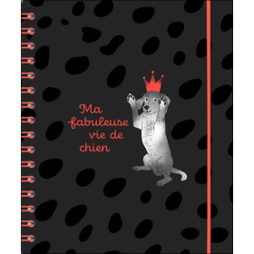 Ma fabuleuse vie de chien - ACHIO-EU