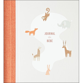 Journal de Bébé - ABEBE-EU
