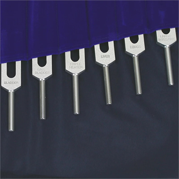 Diapasons Méridiens 14 pièces -- 9.9-36.6 cm