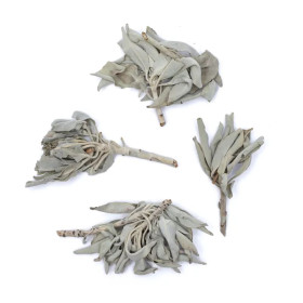 Bouquet d'encens de Sauge Blanche (salvia Apiana) -- 250 g