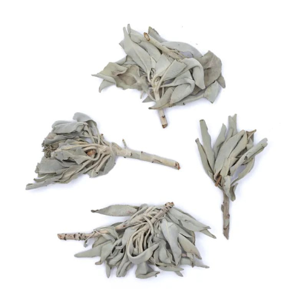 Bouquet d'encens de Sauge Blanche (salvia Apiana) -- 250 g