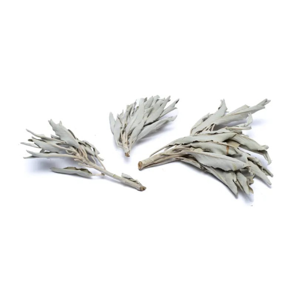 Encens de Sauge Blanche (salvia Apiana) - bouquet -- 500 g