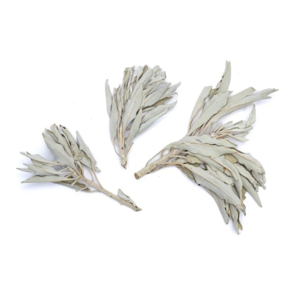 Encens de Sauge Blanche (salvia Apiana) - bouquet -- 500 g