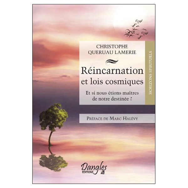 Réincarnation et lois cosmiques - Et si nous étions maîtres de notre destinée ?