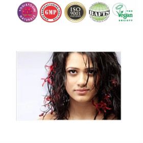 Holy Lama Ayurvedic Huile pour cheveux -- 100 ml