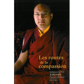 Les routes de la compassion
