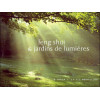 Feng-Shui & jardins de lumières