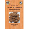 Encens Cristaux du Kamasutra 25 g