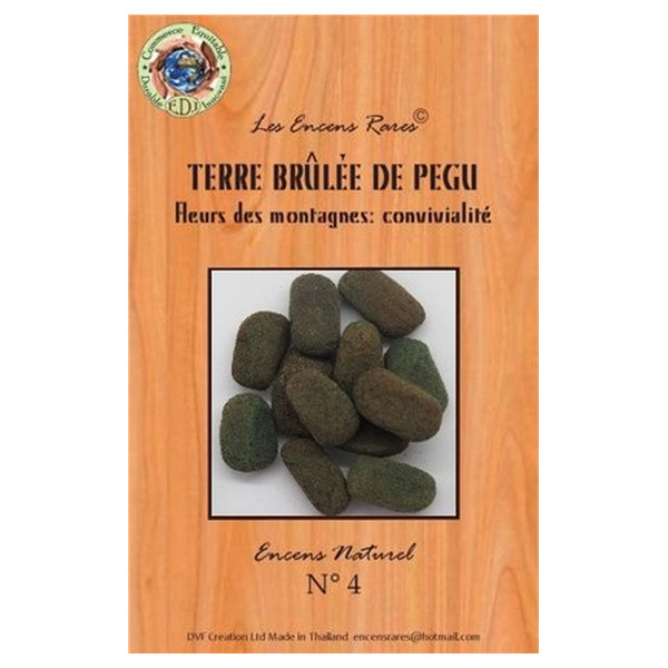 Encens Terre brûlée de Pegu 25 g