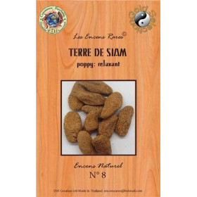 Encens Terre de Siam 25 g
