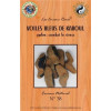 Encens Voiles bleues de Kaboul 25 g