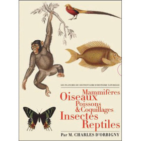 Les planches du Dictionnaire d'Histoire Naturelle - Coffret 5 vol.