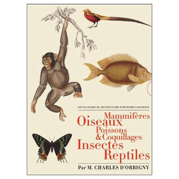 Les planches du Dictionnaire d'Histoire Naturelle - Coffret 5 vol.