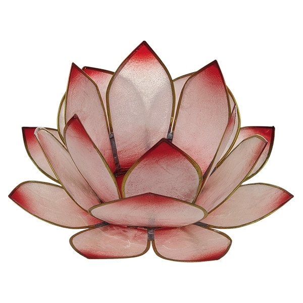 Photophore lotus - coloris rose