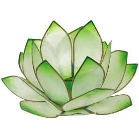 Photophore lotus - coloris vert lime