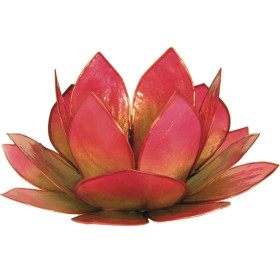 Photophore lotus - coloris vert et rose