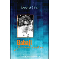 Babaji - Journal indien