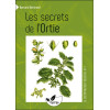 Les secrets de l'Ortie - Vol. 1