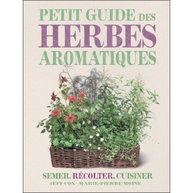 Petit guide des herbes aromatiques : Semer, récolter, cuisiner