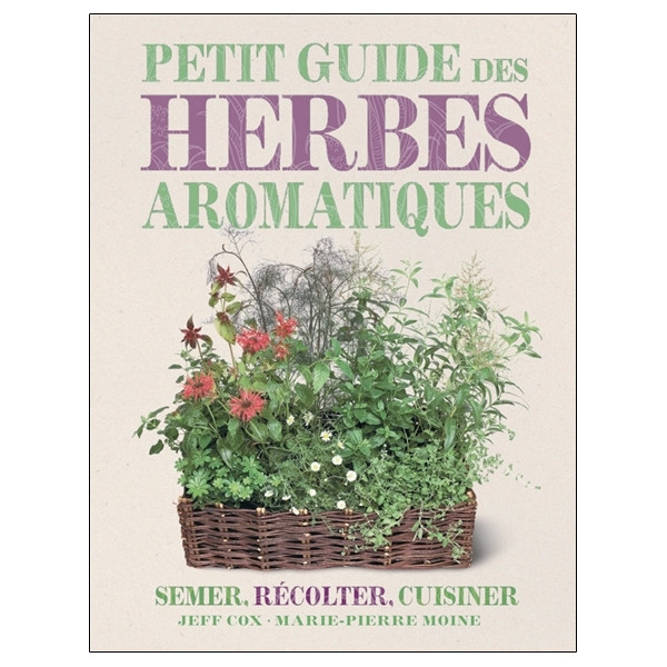 Petit guide des herbes aromatiques : Semer, récolter, cuisiner