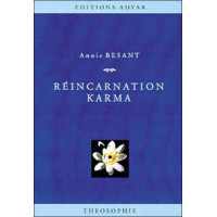 Réincarnation karma