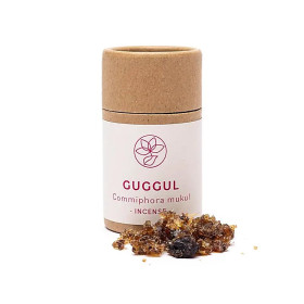 Encens résine Guggul indien -- 20g