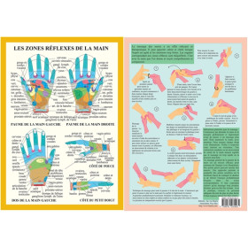 Planche Zones réflexes de la main - A4