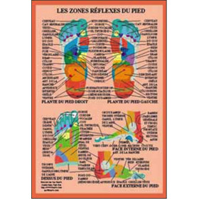 Planche Zones réflexes du pied - A4