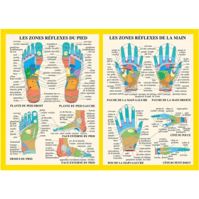 Planche Zones réflexes de la main et du pied - A4