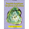 Propriétés énergétiques des pierres et des cristaux - Tome 1