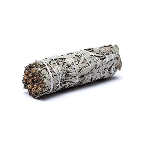 Sauge blanche Smudge M -- ±60-80g； ±16x4cm